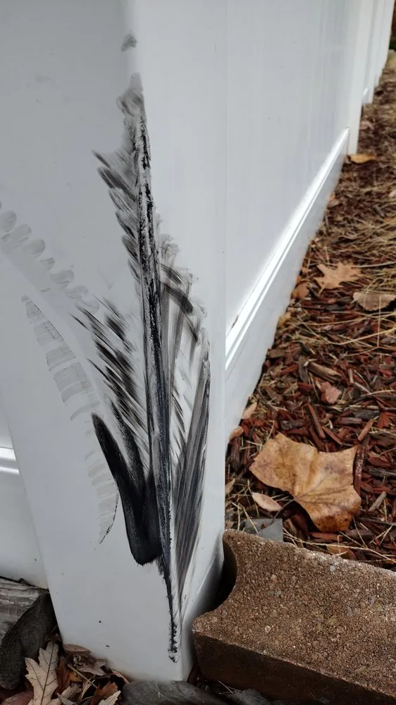 Trusted lawn mowing service in Saint Charles, MO by Green RX