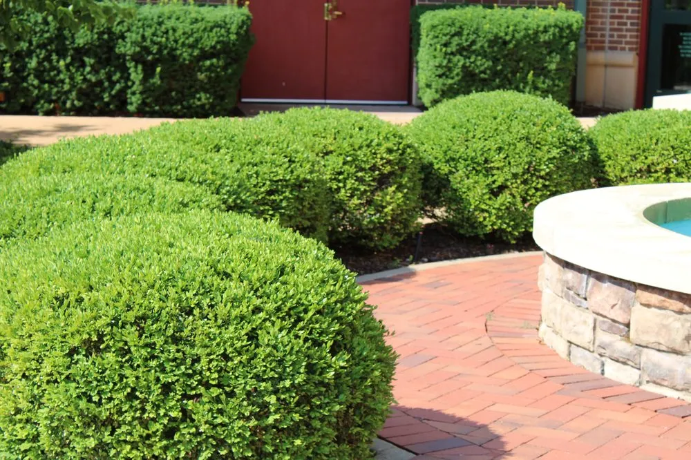 Top-rated outdoor landscaping for residential properties across Saint Charles, MO - Green RX