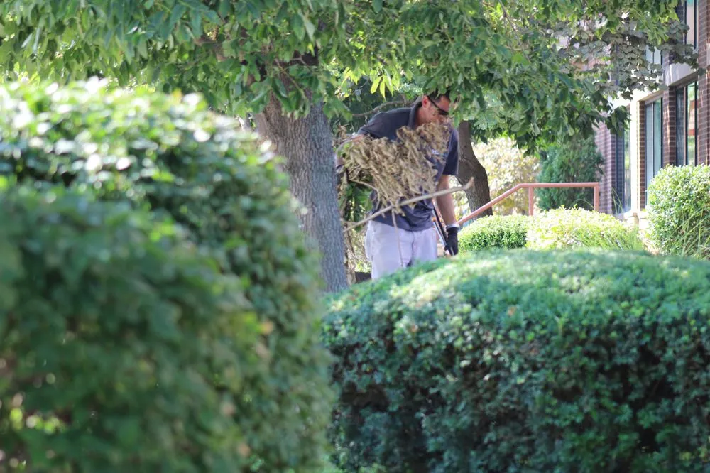 Custom yard maintenance for homes across Saint Charles, MO - Green RX