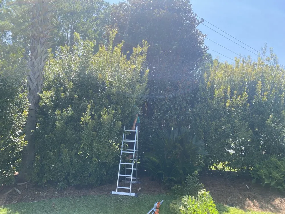 Custom garden landscaping in Surfside Beach, SC - Green Sands Landscaping