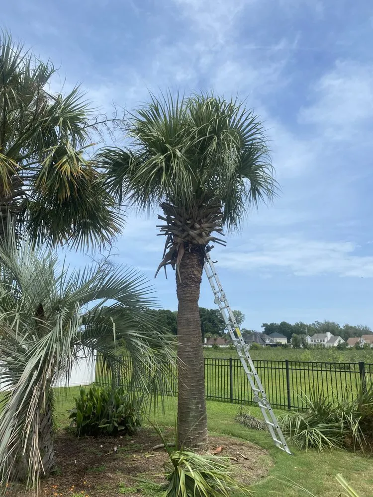 Custom lawn mowing service for residential properties across Surfside Beach, SC - Green Sands Landscaping