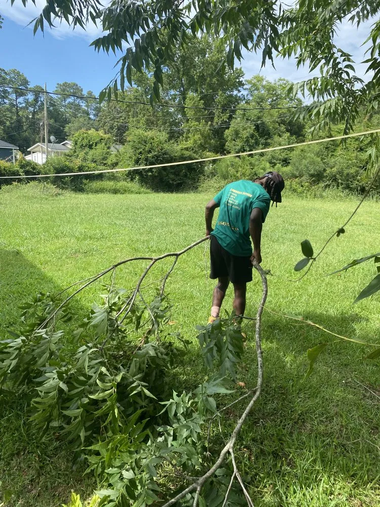 Expert landscaping services for homes in Surfside Beach, SC by Green Sands Landscaping