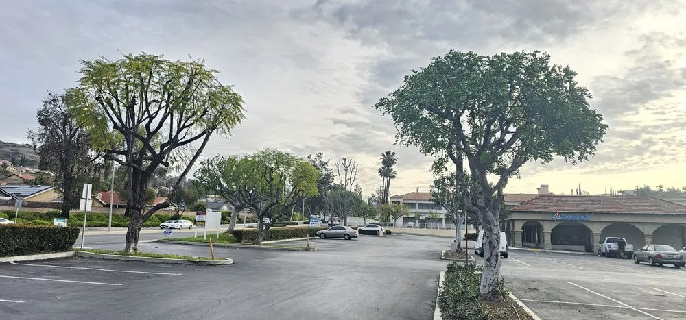 Trusted landscape design in Rowland Heights, CA - Green Sapling Tree Service