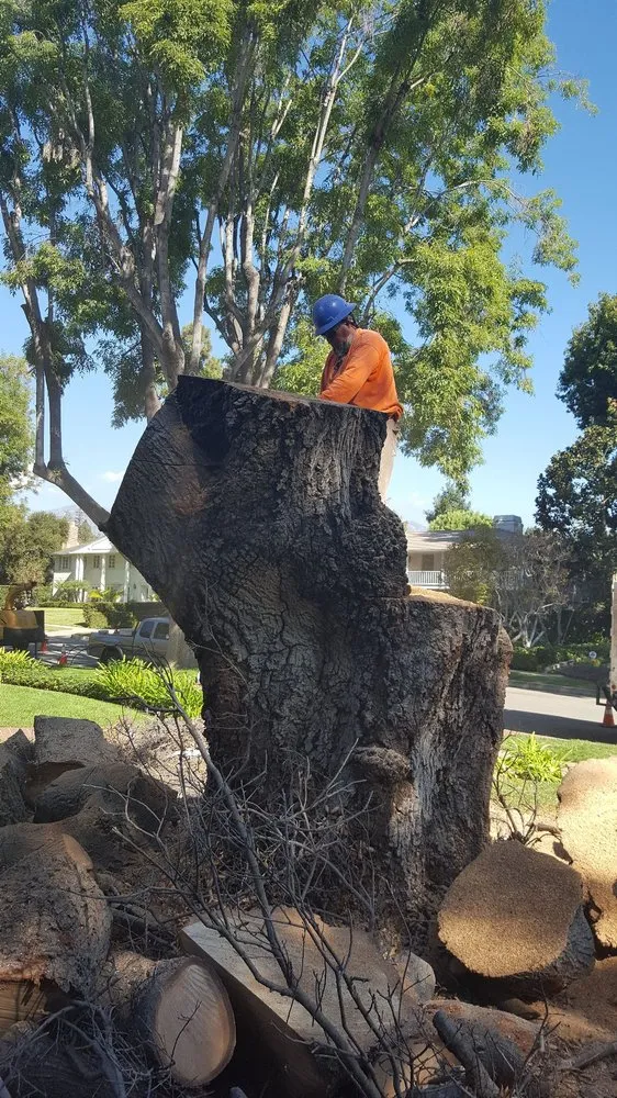 Trusted residential landscaping experts serving Rowland Heights, CA - Green Sapling Tree Service