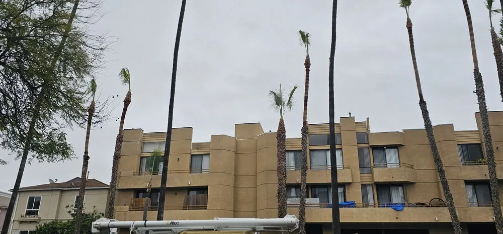 Professional lawn care service in Rowland Heights, CA - Green Sapling Tree Service