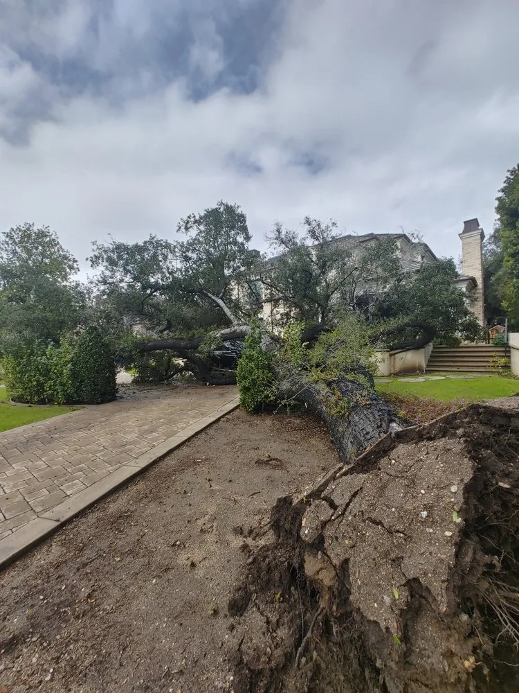 Top-rated garden landscaping for outdoor upgrades across Rowland Heights, CA - Green Sapling Tree Service