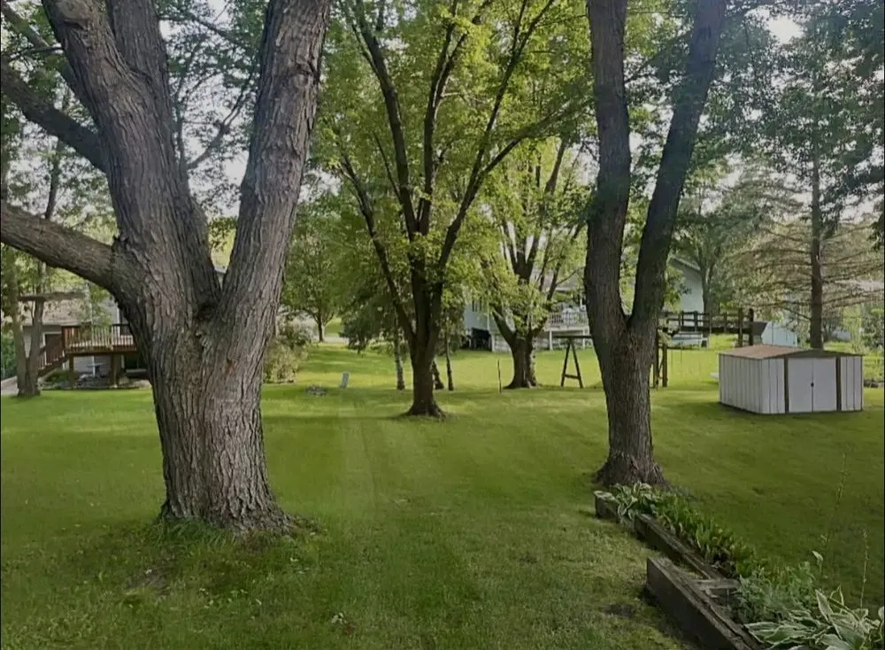 Custom landscaping services experts serving Montrose, MN - Green Scape 365