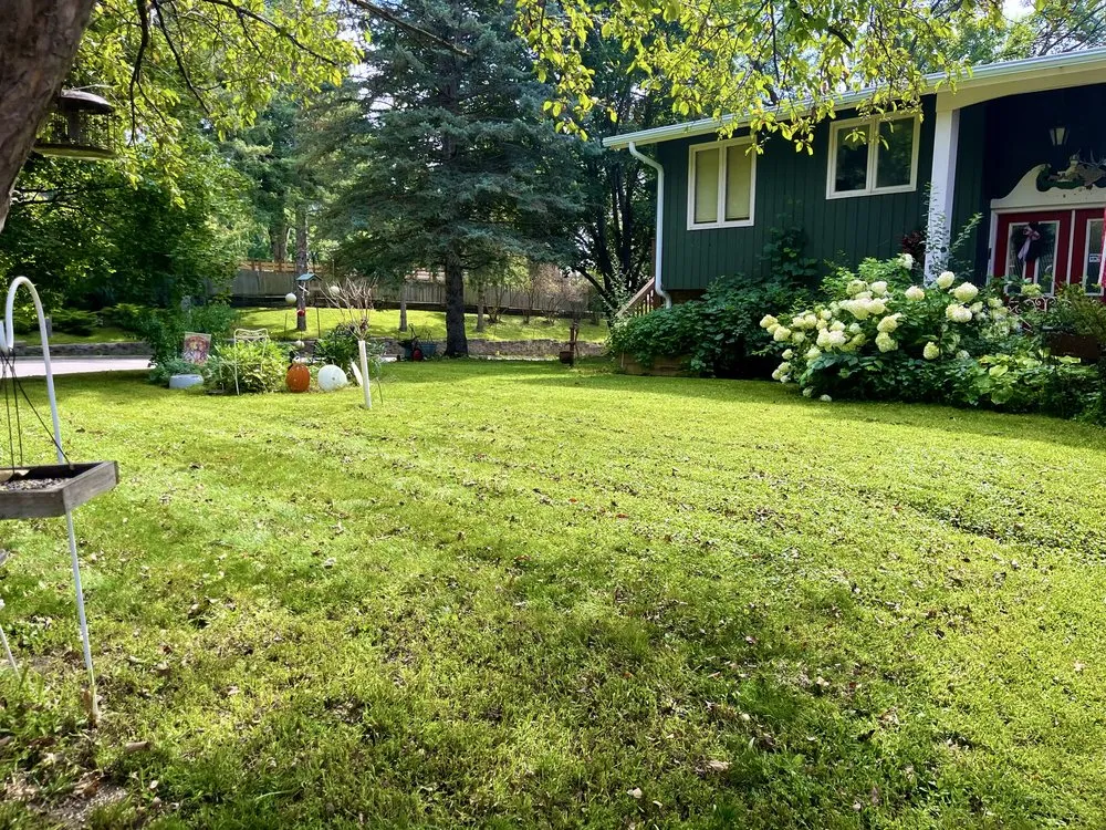 Affordable garden landscaping experts serving Montrose, MN - Green Scape 365