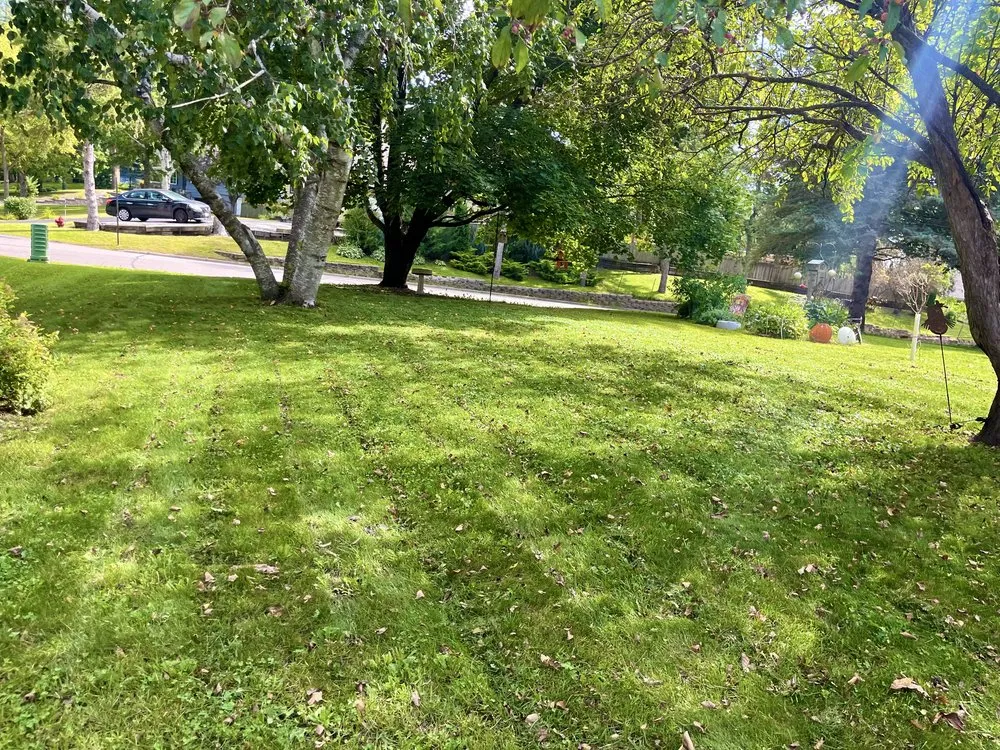 Expert yard maintenance with custom design in Montrose, MN by Green Scape 365