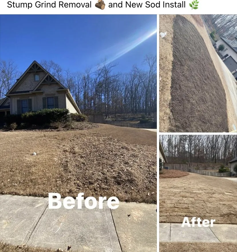 Trusted residential landscaping experts serving Cartersville, GA - Green Scape