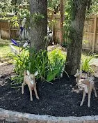 Reliable lawn care service experts serving Fort Worth, TX - Green Scape Landscape