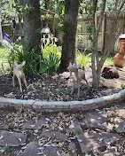 Custom garden landscaping in Fort Worth, TX by Green Scape Landscape