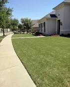 Reliable yard cleanup service in Fort Worth, TX by Green Scape Landscape