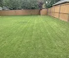 Top-rated yard cleanup service in Fort Worth, TX - Green Scape Landscape