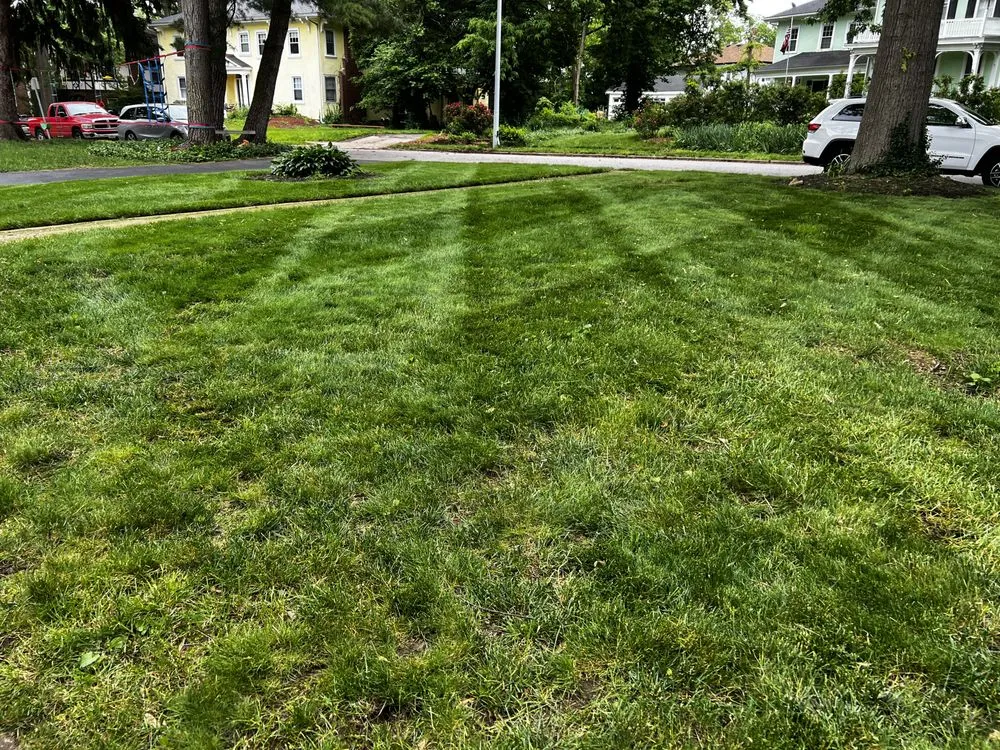 Top-rated garden landscaping for beautiful yards across Webster Groves, MO - Green Scape Stl Landscaping And Outdoor Living