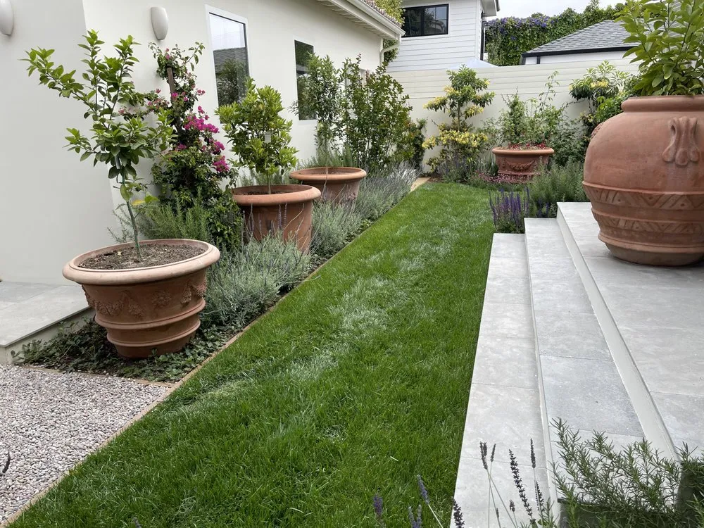 Affordable lawn mowing service in Inglewood, CA - Green Scapes Landscaping