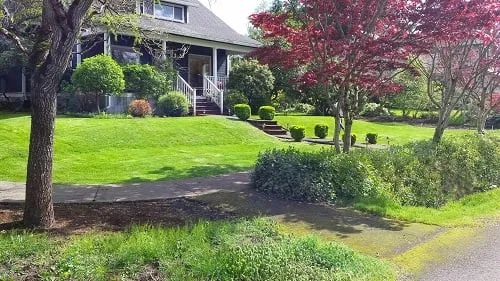 Top-rated yard maintenance near you in Tigard, OR by Green Scapes