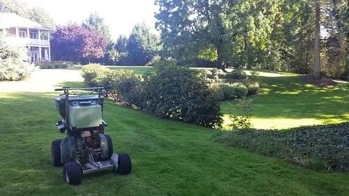 Affordable landscape design in Tigard, OR - Green Scapes