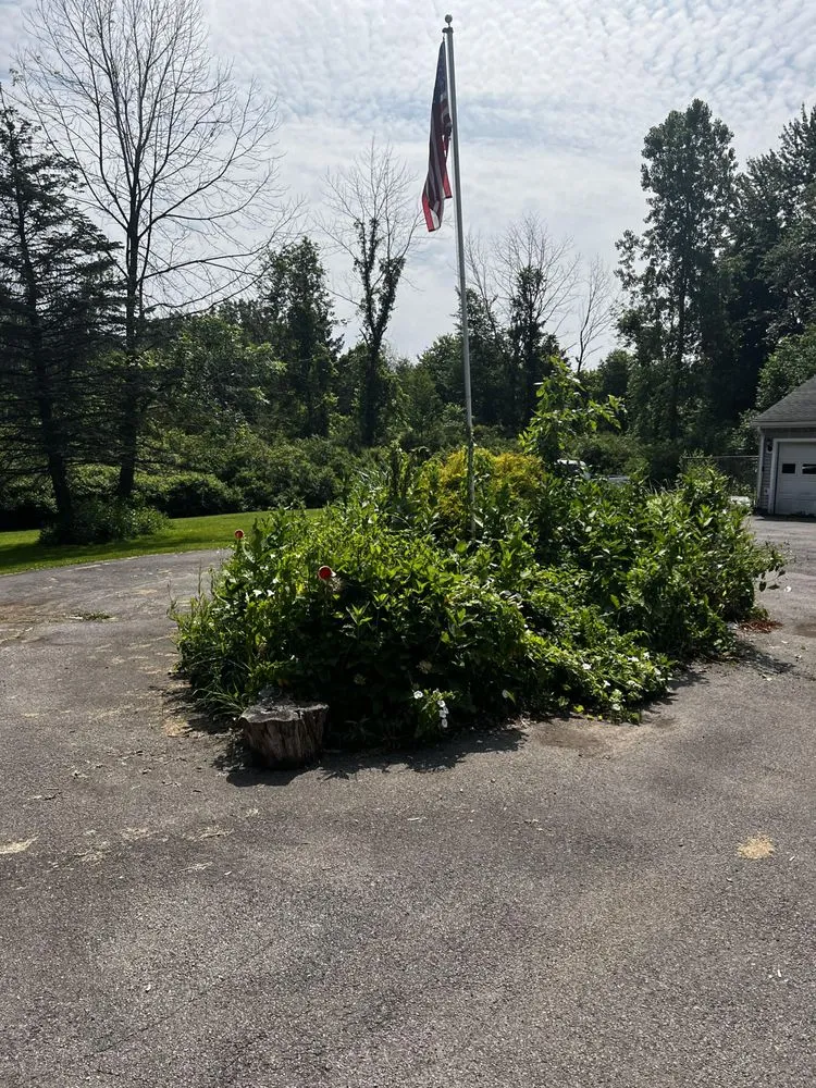 Local yard maintenance experts serving Macedon, NY - Green Scaping