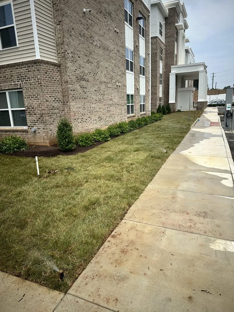 Top-rated residential landscaping experts serving Fredericksburg, VA - Green Scene