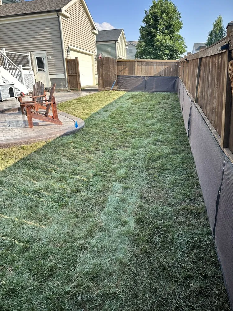 Top-rated yard cleanup service for outdoor upgrades across Fredericksburg, VA - Green Scene