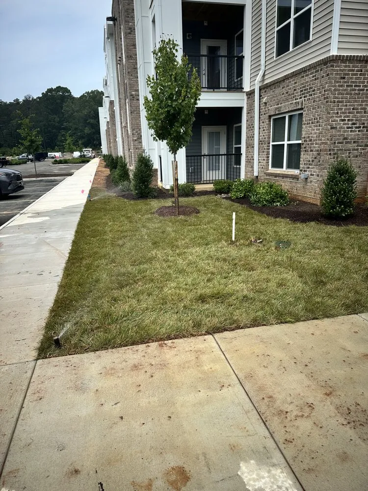 Reliable residential landscaping in Fredericksburg, VA - Green Scene