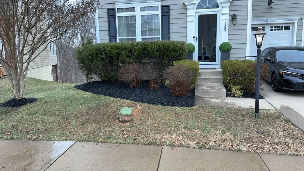 Reliable yard cleanup service experts serving Fredericksburg, VA - Green Scene