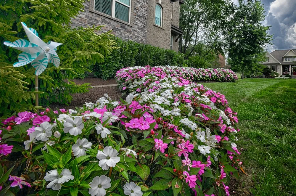 Top-rated lawn care service near you across Franklin, TN - Green Scene Irrigation And Landscaping