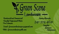 Expert residential landscaping experts serving Albany, OR - Green scene landscape