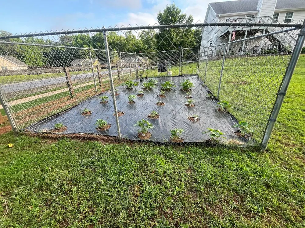 Custom lawn mowing service in Athens, GA - Green Scene Landscape