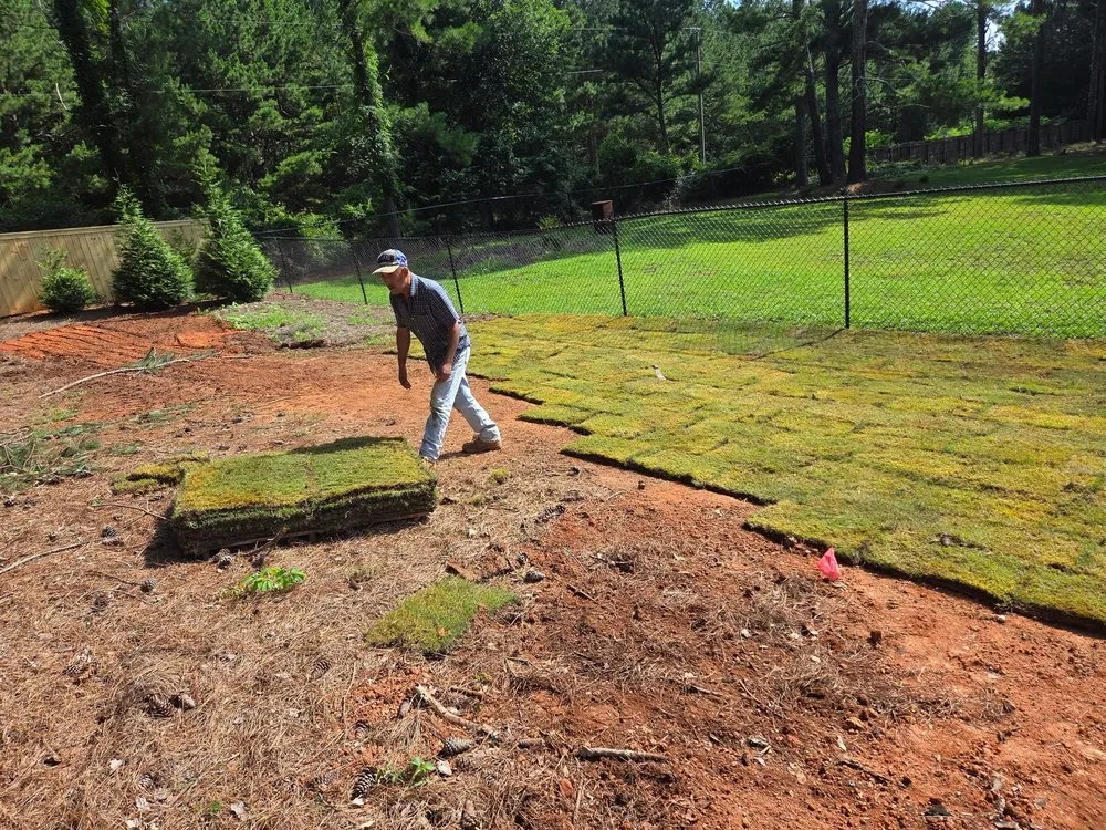 Professional yard cleanup service in Athens, GA by Green Scene Landscape