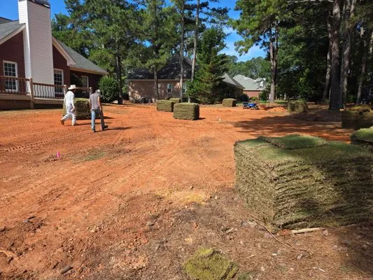 Green Scene Landscape Logo