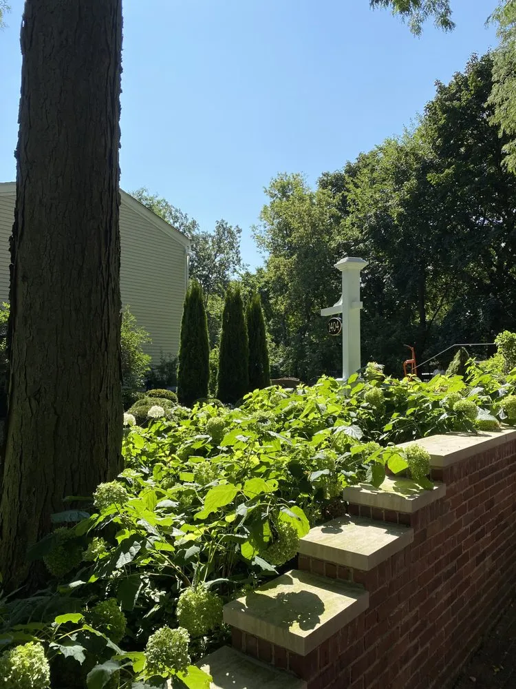 Local yard cleanup service near you in Chicago, IL by Green Scene Landscaping