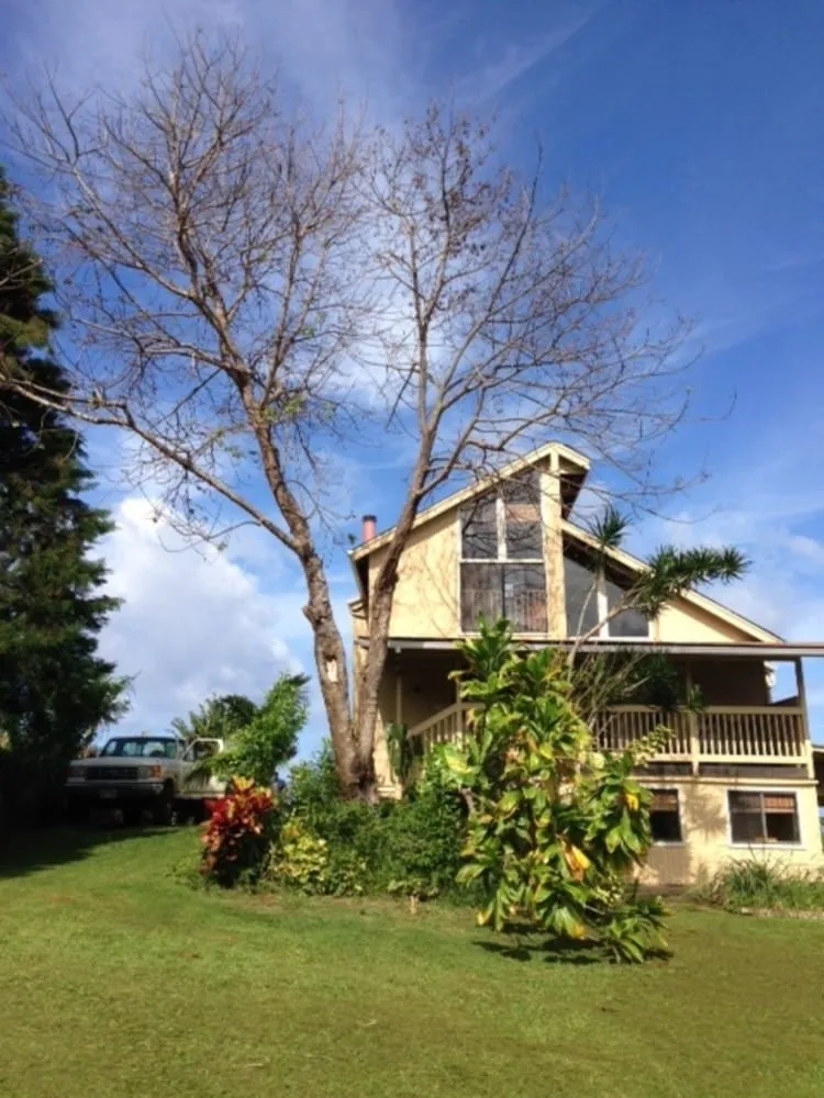 Reliable garden landscaping for outdoor upgrades in Papaikou, HI by Green Scene Lawn & Landscape