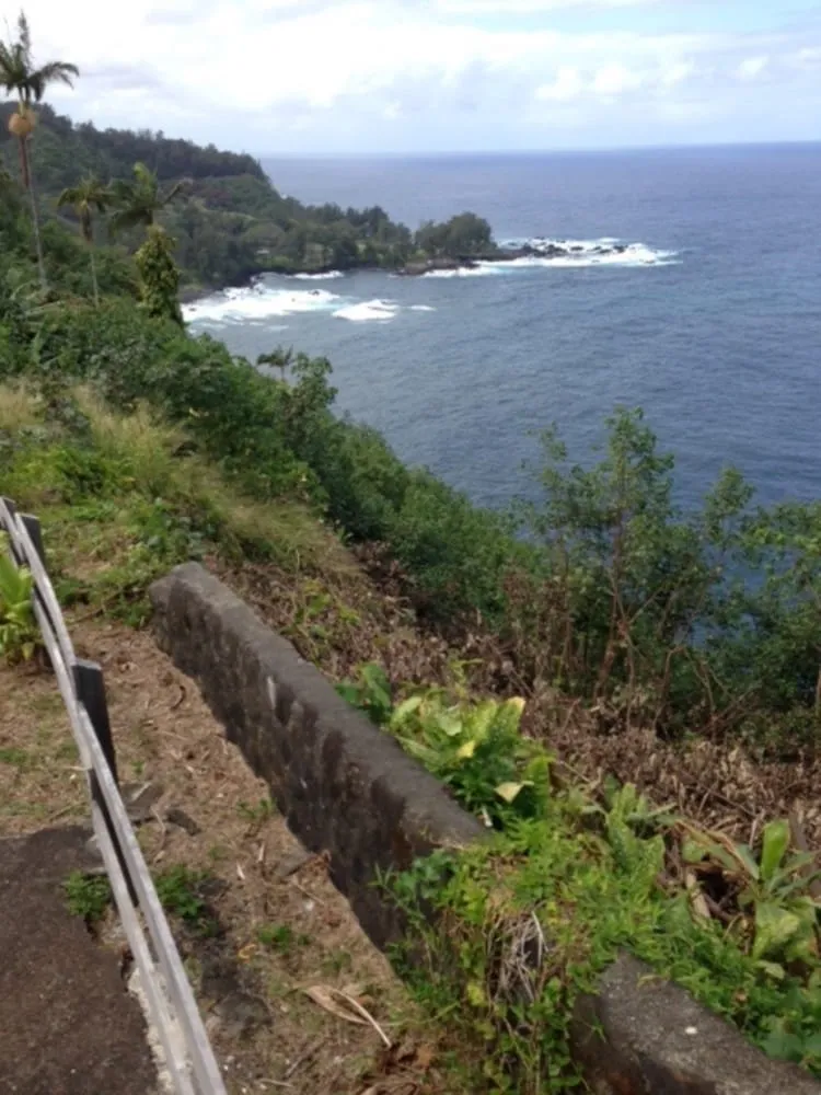 Local landscaping services near you in Papaikou, HI by Green Scene Lawn & Landscape