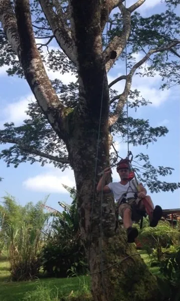 Custom lawn care service for residential properties in Papaikou, HI by Green Scene Lawn & Landscape