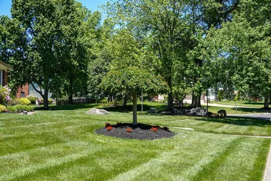 Custom garden landscaping for outdoor upgrades in Norfolk, VA by Green Scene Lawn Care
