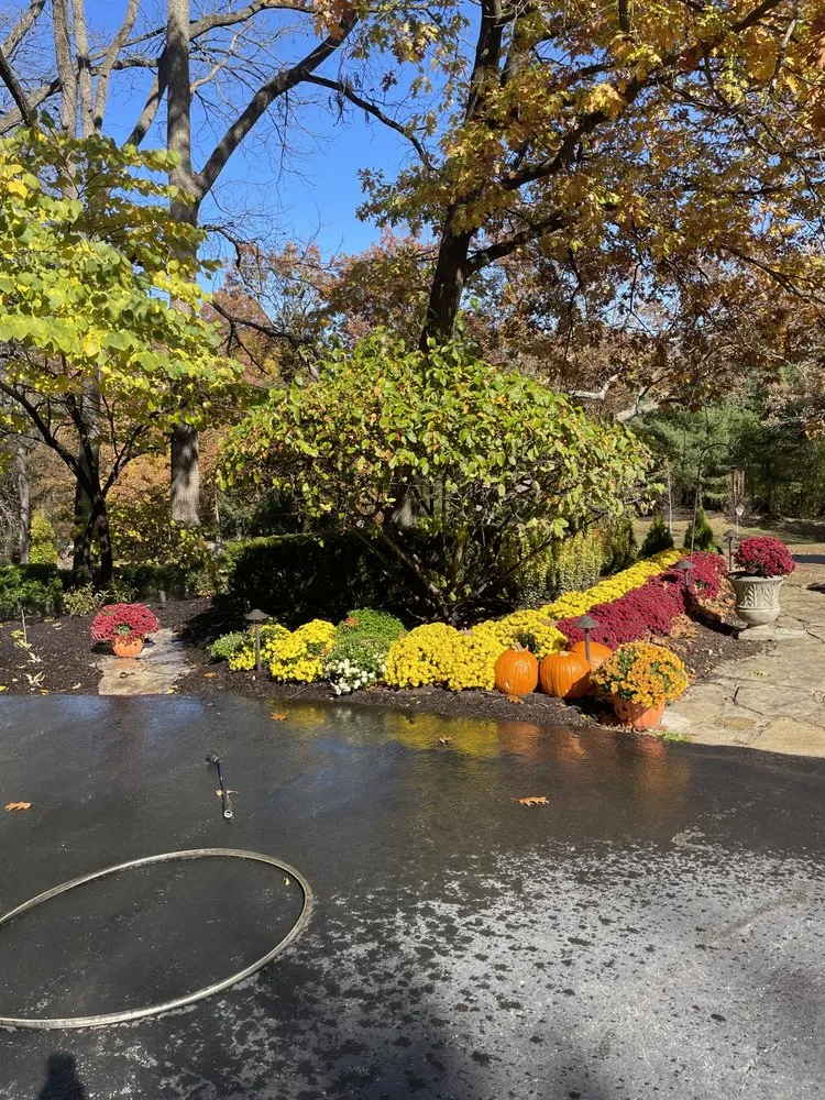 Trusted yard maintenance for year-round maintenance across Saint Charles, IL - Green Scene