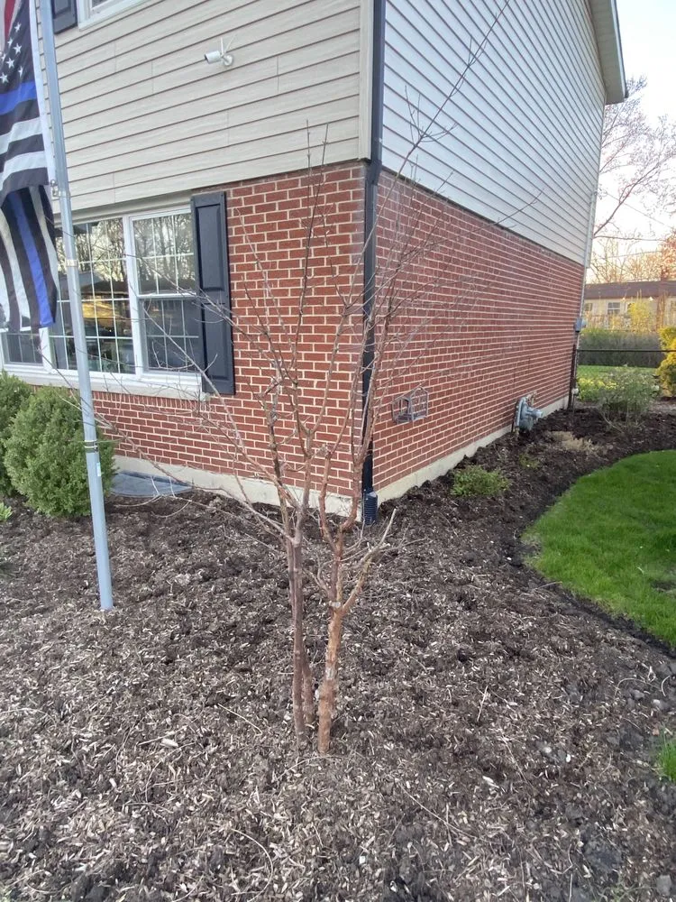 Local landscape design for beautiful yards across Saint Charles, IL - Green Scene