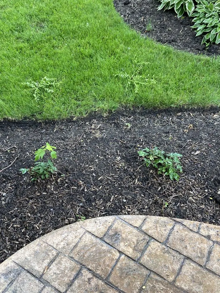 Custom lawn mowing service in Saint Charles, IL - Green Scene