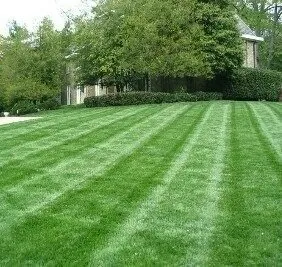 Affordable residential landscaping in Pinnacle, NC by Green Scenes Landscape and Design