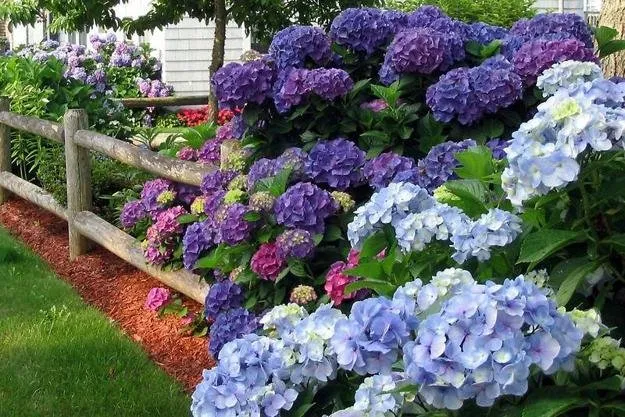 Reliable landscape installation in Hampton Bays, NY - Green Season Landscaping