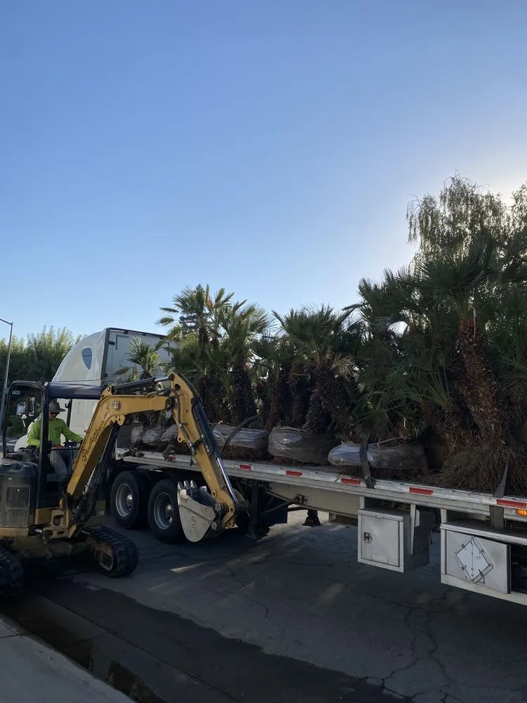 Reliable outdoor landscaping in Madera, CA - Green Season Landscaping