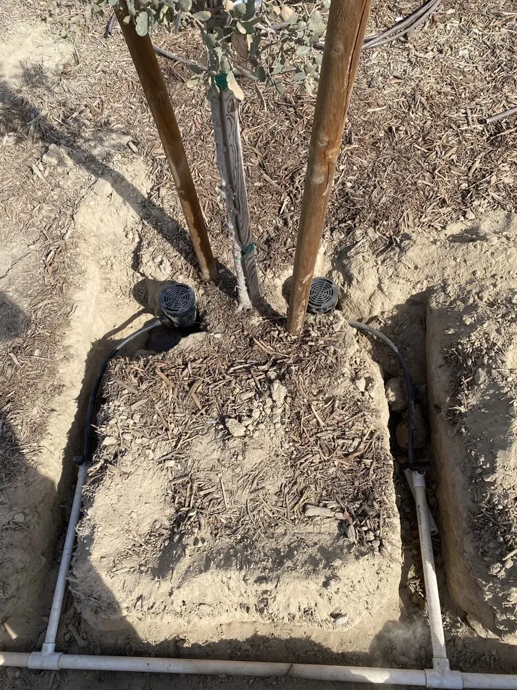 Professional landscape installation experts serving Madera, CA - Green Season Landscaping