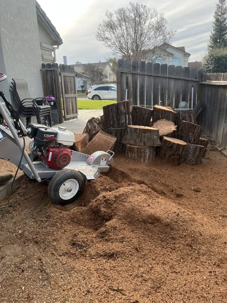 Professional landscape installation in Madera, CA - Green Season Landscaping