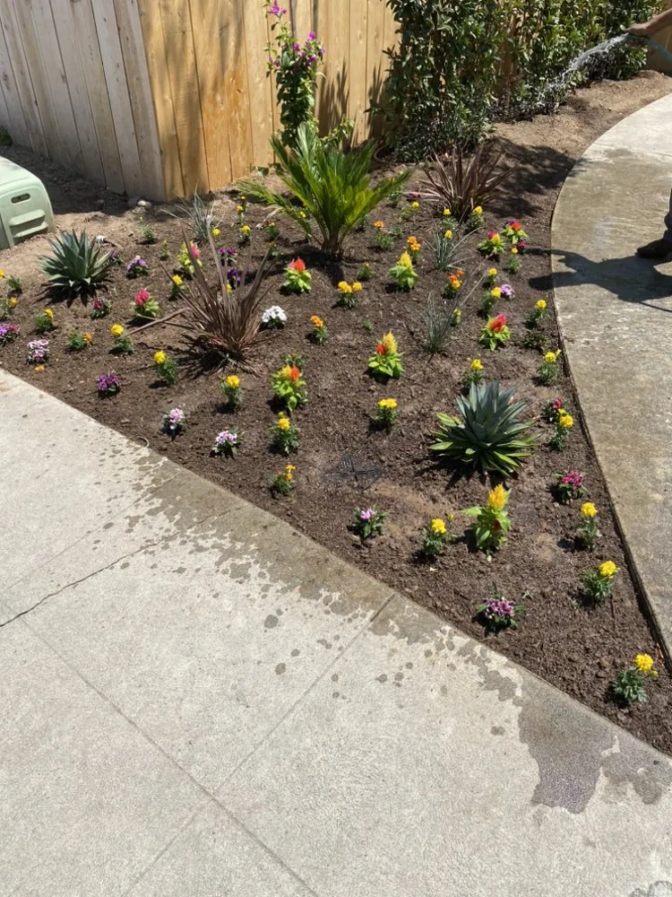 Affordable landscaping services in Madera, CA - Green Season Landscaping