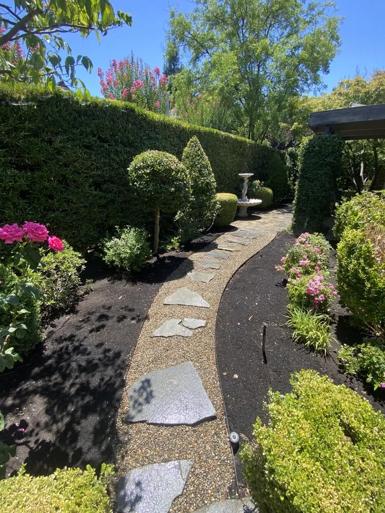 Reliable lawn care service for year-round maintenance across Madera, CA - Green Season Landscaping