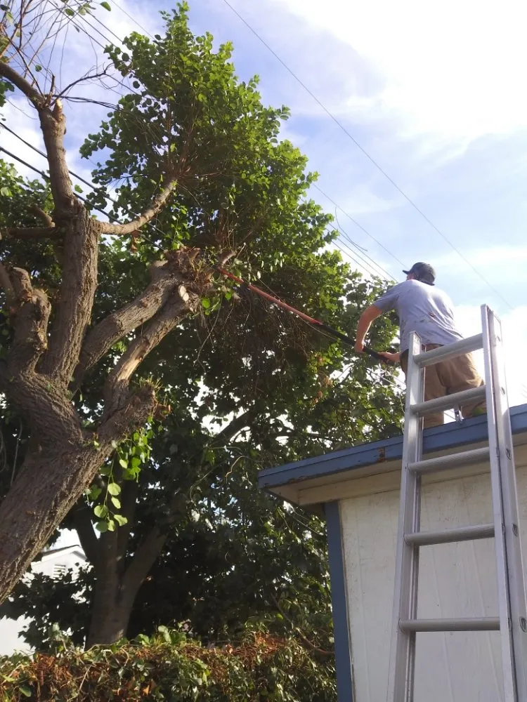 Reliable residential landscaping in Glendora, CA - Green Seasons Firewood & Landscape