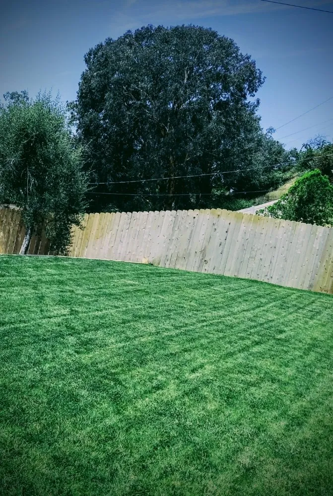 Custom yard cleanup service for year-round maintenance in Glendora, CA by Green Seasons Firewood & Landscape