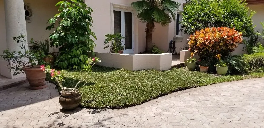 Professional lawn care service in Margate, FL by Green Seasons Lawn & Landscaping